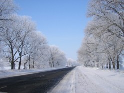 � Sergey Baranov - Fotolia.com.jpg