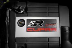 Leon Cupra R 250 9.jpg