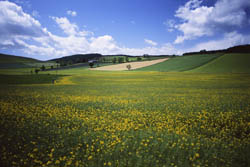 Chercher terrain
