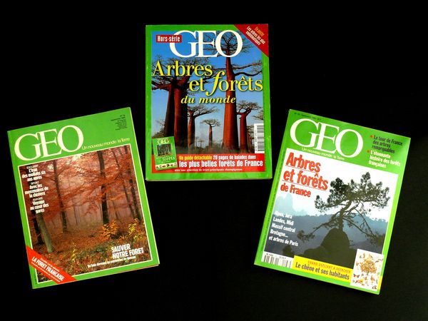 ARBRES et FORETS - GEO / prixportcompris 13 Reims (51)