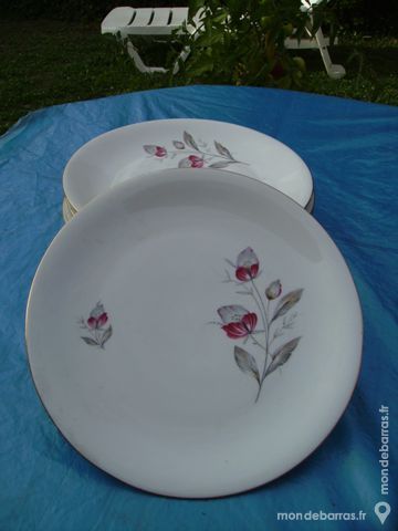 7 ASSIETTES PLATES + PETIT RAVIER � Compagnie Nati 17 Dammarie-les-Lys (77)