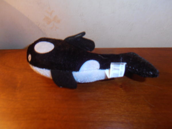 Baleine noire (74) 1 Tours (37)