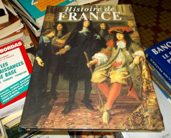 Beau livre sur l'Histoire de France 20 Monflanquin (47)