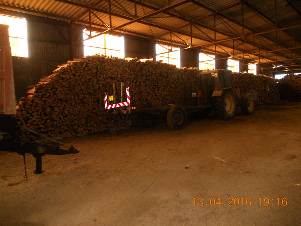 bois de chauffage 40 Hallignicourt (52)