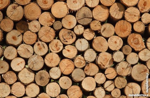 bois de chauffage 40 All�gre (43)