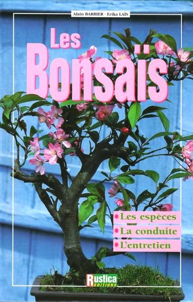 BONSAI / prixportcompris 12 Reims (51)