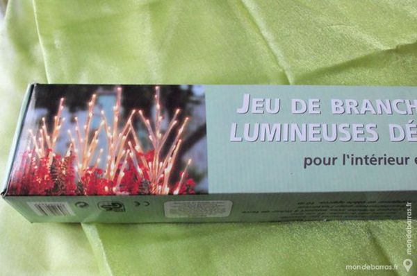 Jeu de 4 branches lumineuses 13 Goussainville (95)