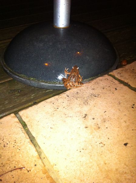 BUREAU TYPE MINISTRE ANNEE 50 0 Essertines-en-Ch�telneuf (42)