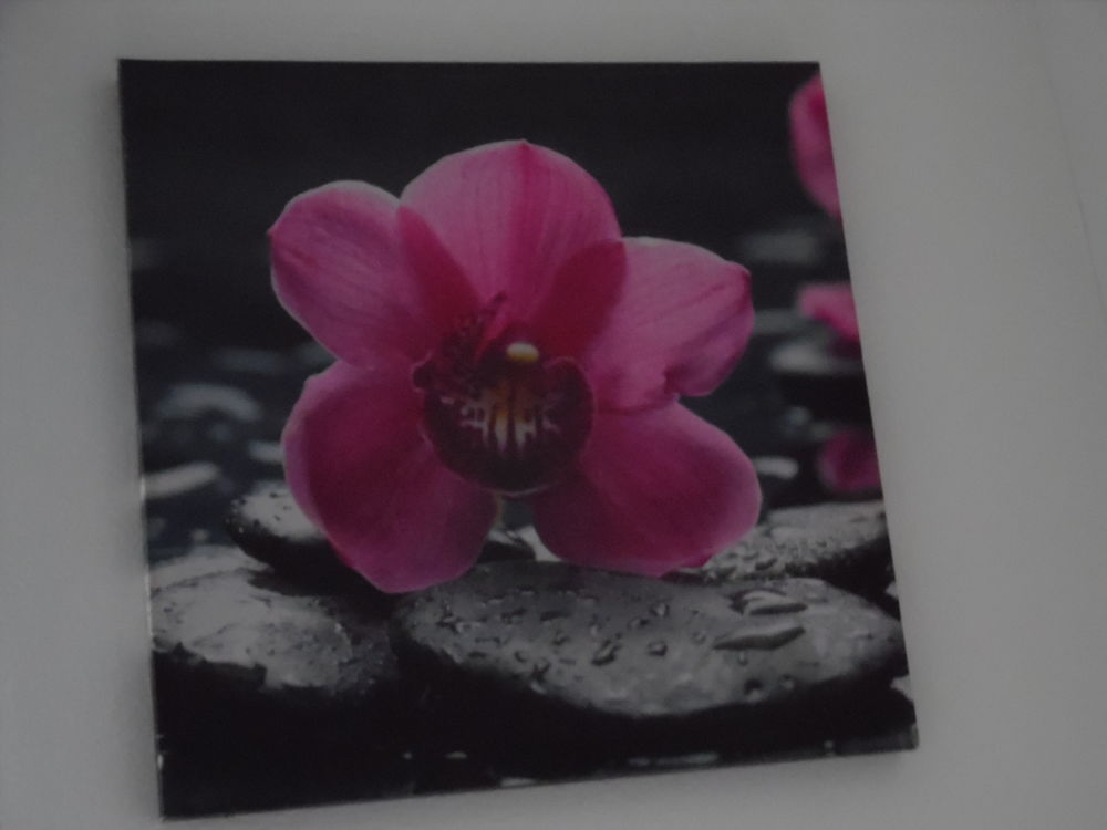 cadre motif fleur rose, neuf 5 Abbeville (80)