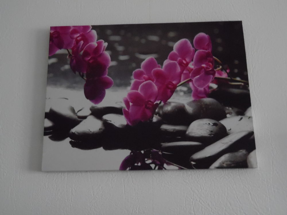 cadre motifs fleurs roses sur fond gris 5 Abbeville (80)