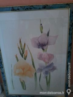 CADRE TABLEAU MOTIF FLEURS GLAIEULS 8 Saint-Martin-au-La�rt (62)