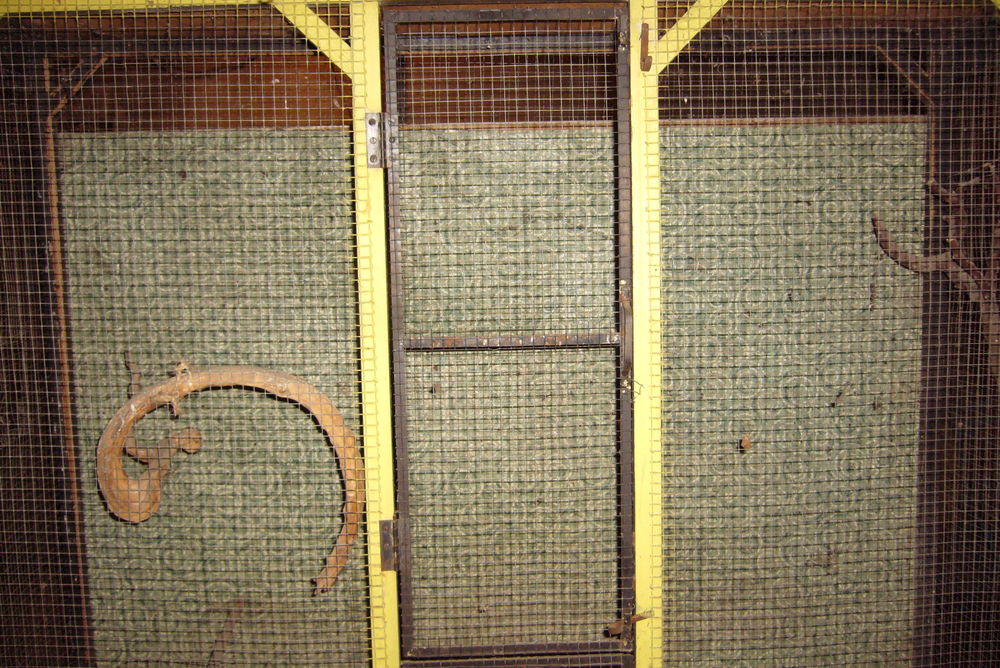 cage 50 La Bresse (88)