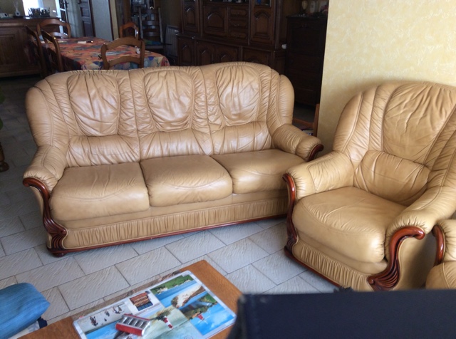 canap� cuir 3 places +  fauteuils assortis 250 Saint-Julien-de-Concelles (44)