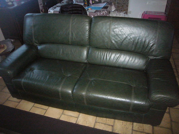 CANAPE CUIR 50 Cerdon (45)