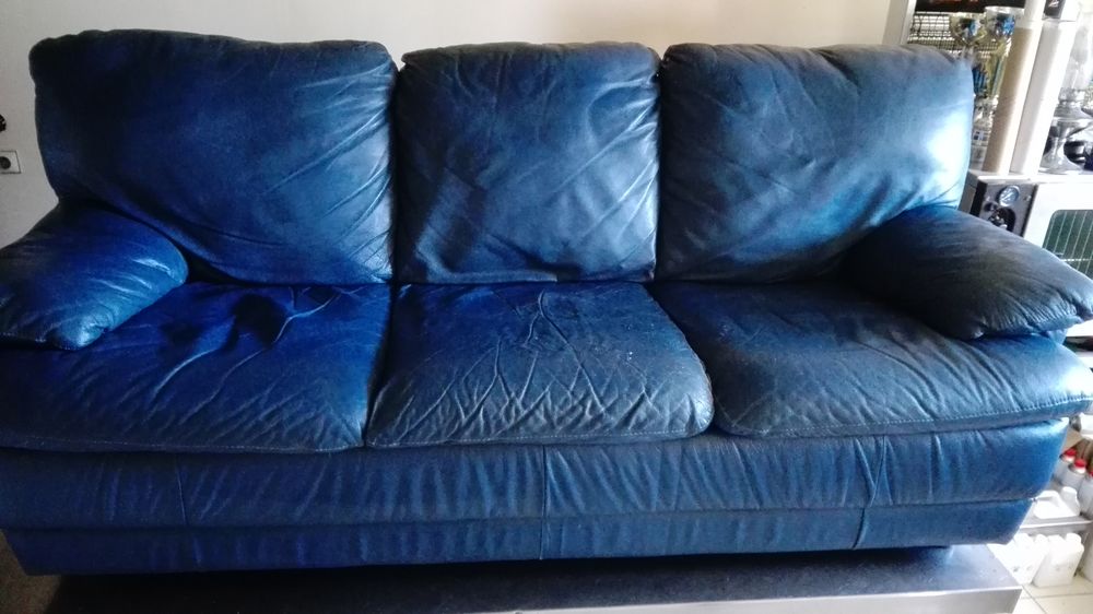 canap�s 250 Poli�nas (38)