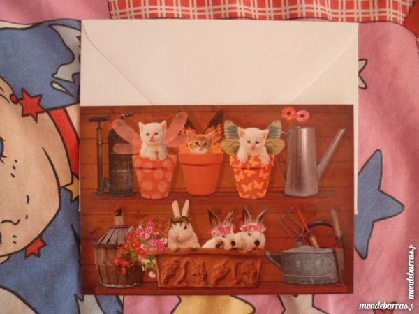 carte postale neuve lapin chat jardin mode �t� 1 F�ves (57)