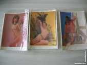 Lot 3 CARTES POSTALES PIN UP anim�es 15 Nantes (44)