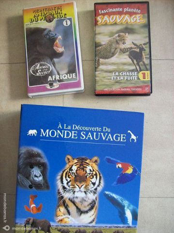 Cassettes vid�o + classeur + fiches - zoeads 3 Martigues (13)