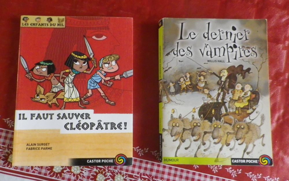 LOT DE 2 CASTOR POCHE 3 Attainville (95)