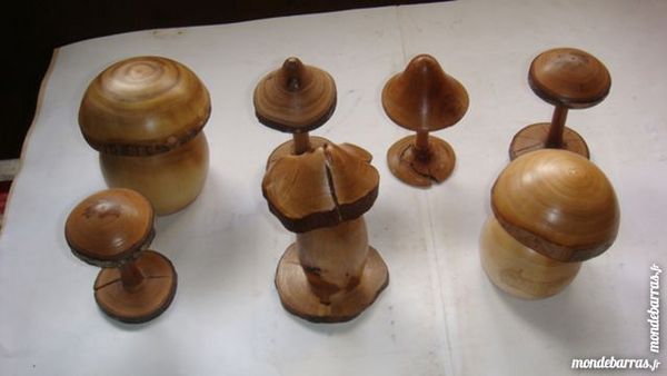CHAMPIGNONS EN BOIS 10 Saint-M�dard-en-Jalles (33)