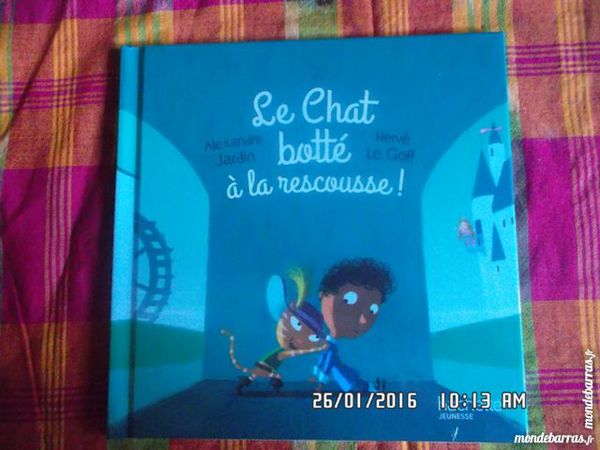 le chat bott� � la rescousse 1 Chambly (60)