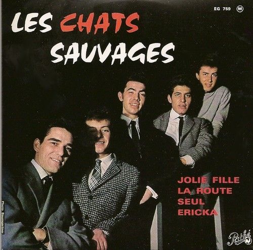 les chats sauvages Jolie fille 14 Maurepas (78)