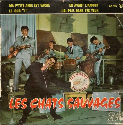 les chats sauvages ma p'tite amie est vache 10 Maurepas (78)