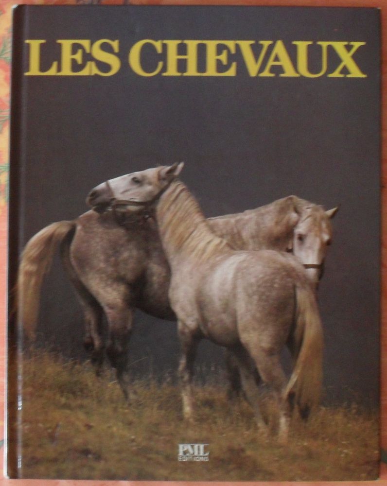 Les CHEVAUX de Angela SAYER �ditions PML 16 Montreuil (93)