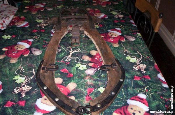 coliier de cheval 30 Chevresis-Monceau (02)