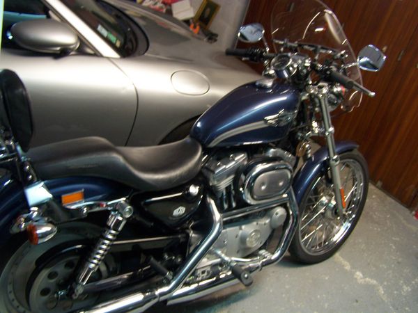 collectionneur recherche  flipper de bar harley davidson. 0 Alen�on (61)