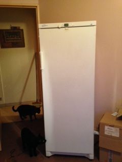 cong�lateur 120 Gelos (64)