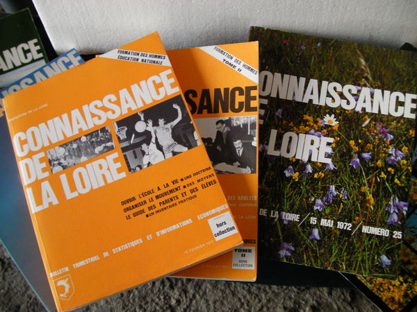 CONNAISSANCES DE LA LOIRE 2 Saint-Etienne (42)