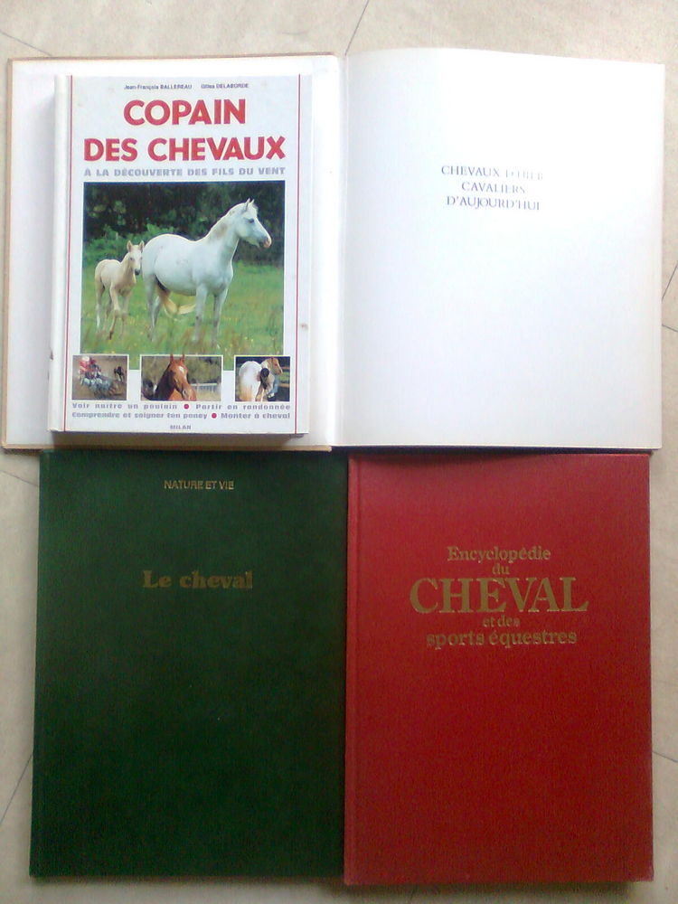 copains des chevaux, encyclop�die du cheval - zoe 5 Martigues (13)