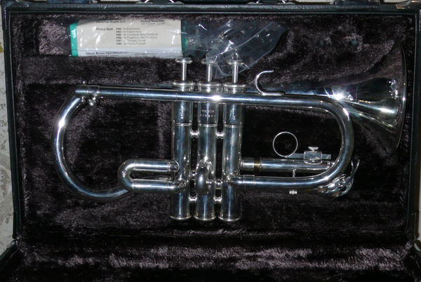 VDS Cornet Mib ycr 2510 Yamaha 700 N�mes (30)