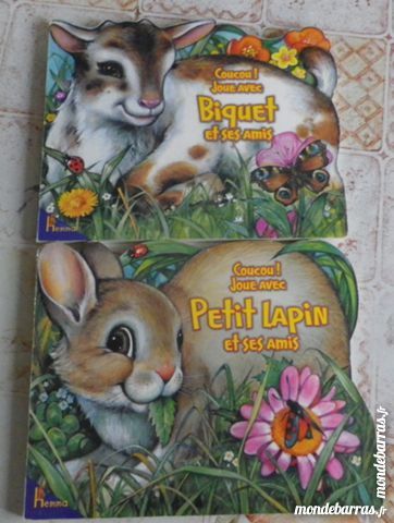 LOT N�9 2 COUCOU JOUE AVEC... LIVRES A RABATS 5 Attainville (95)
