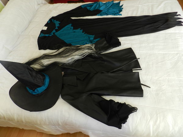 deguisement sociere 25 Carbonne (31)