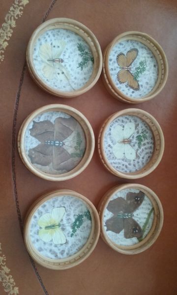 6 dessous de verres avec v�ritables papillons 10 Charenton-le-Pont (94)