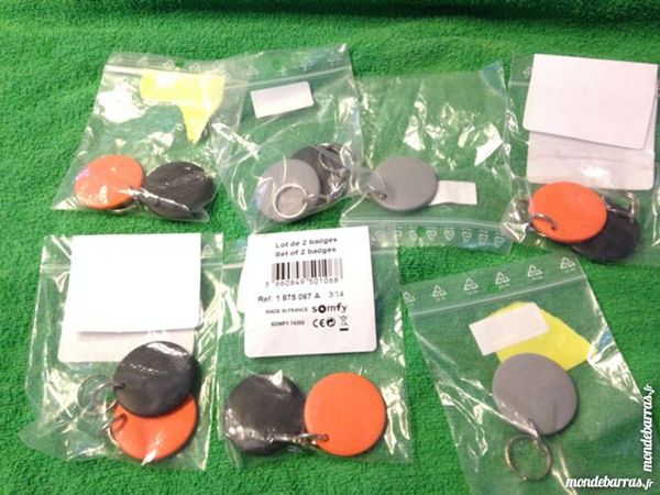 Lot de deux badges pour alarme Somfy 18 Bagnols-sur-C�ze (30)