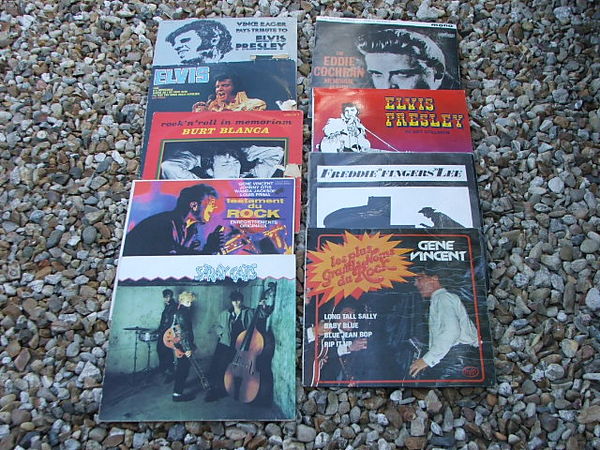 Disques 33 tours rock 5 Saint-Martin-sur-Ocre (45)