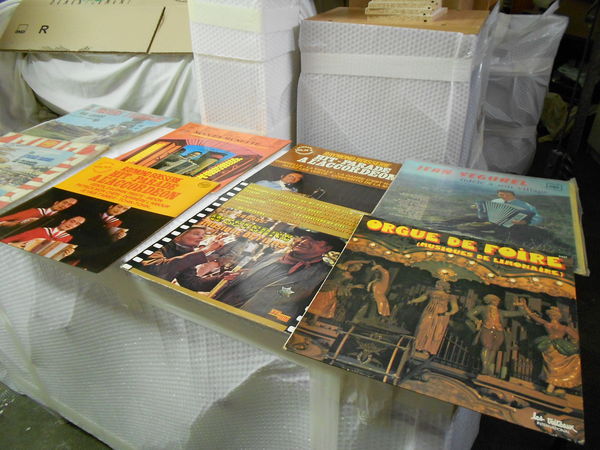 disques vinyll 30 La Digne-d'Amont (11)