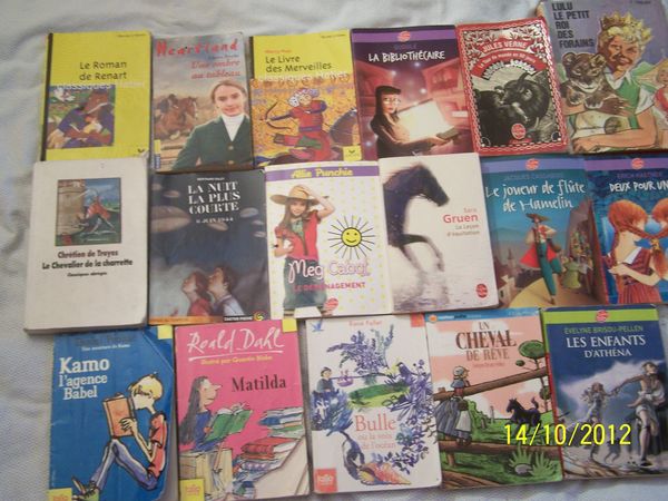 LOT DE DIVERS LIVRES JEUNESSE 28 Issy-les-Moulineaux (92)