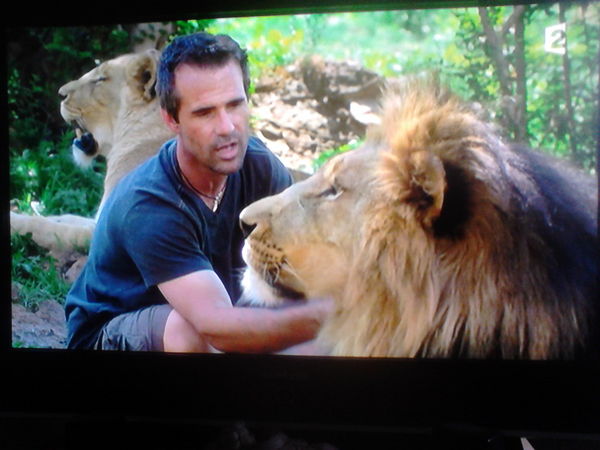 Ecran plat 108cm 230 Villeneuve-d'Ascq (59)