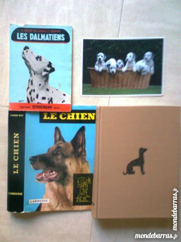 encyclop�die canine LE CHIEN  - zoe 5 Martigues (13)