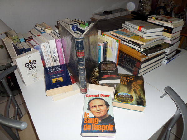 encyclop�die et livres 10 Magny-le-Hongre (77)