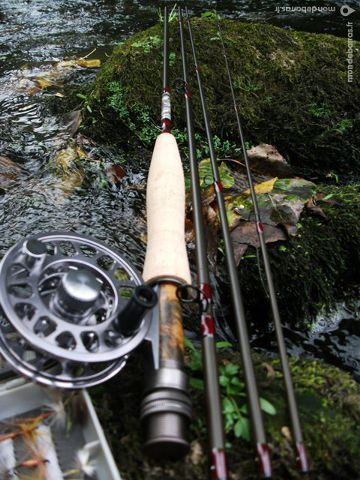 ENSEMBLE MOUCHE 9' SOIE DE 5 TRUITE 350 Plum�liau (56)