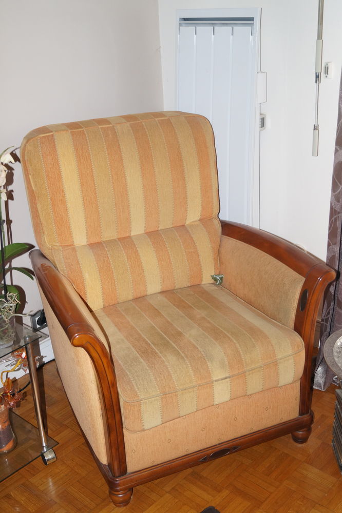 Fauteuil de salon 100 Sucy-en-Brie (94)