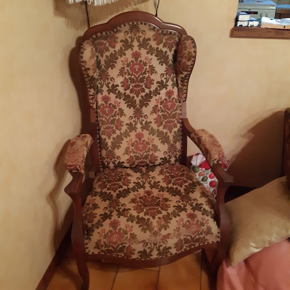 Achetez Fauteuil Voltaire Occasion Annonce Vente Saint Hilaire De