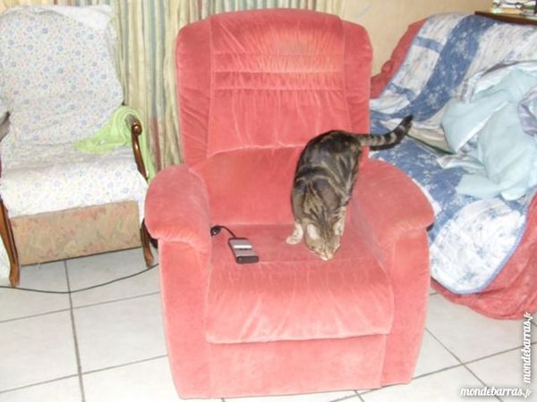 2  fauteuils 120 Saint-Martin-d'Estr�aux (42)