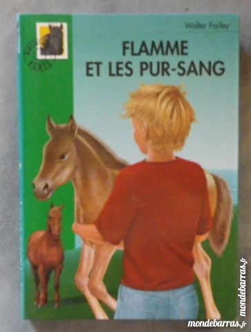 FLAMME ET LES PUR-SANG BIBLIO VERTE SOUPLE N�331 2 Attainville (95)