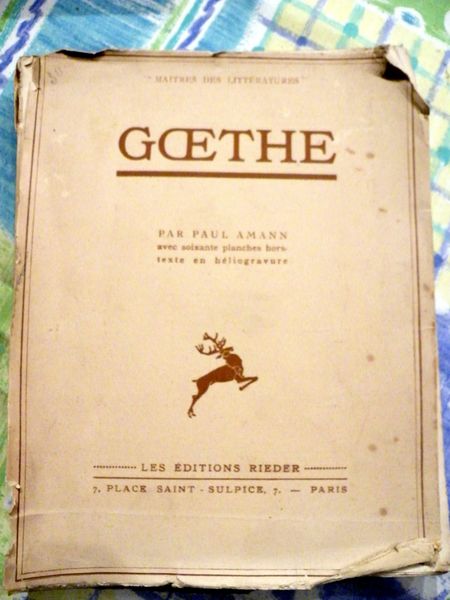 goethe 30 Viriat (01)